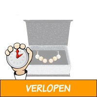 Her Jewellery Oorbellen - Verwisselbare kleuren