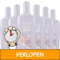 6 x Andrelon Shampoo Care & Repair 300 ml