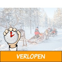 8-daagse winterreis naar Fins Lapland