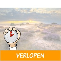 4 dagen Veluwe