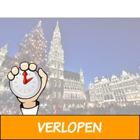 2-, 3- of 4-daagse trip naar de grootste kerstmarkt