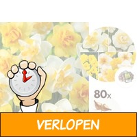 Narcissen mix van 80 bollen