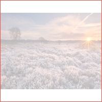 3 dagen midden op de Veluwe