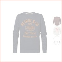 Petrol Industries Print sweater