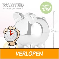 Wanted spaarvarken XXL