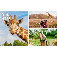 Entree Safaripark Beekse Bergen + warme..