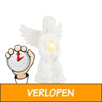 HI Beschermengel met LED