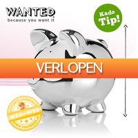 voorHAAR.nl: Wanted spaarvarken XXL