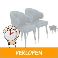 2 x Dutchbone Lunar velvet fauteuil