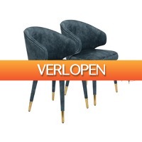 iBOOD Home & Living: 2 x Dutchbone Lunar velvet fauteuil