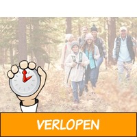 Vakantiepark Veluwe