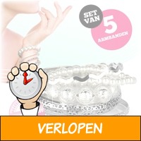 5 zilverkleurige armbanden