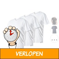 3 x Lebasq extra lange T-shirts