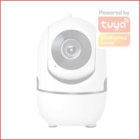 Indoor WiFi camera