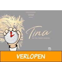 Veiling: TINA - De Tina Turner Musical tickets (2 p.)