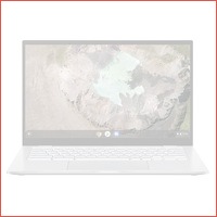 Asus Chromebook C425TA-H50334