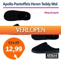 1dagactie.nl: Apollo Heren Pantoffels Teddy Wol