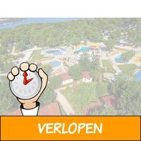 Geniet direct aan zee op een 4*-camping in Istrie