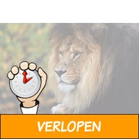 Safaripark Beekse Bergen entreeticket