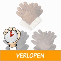 Leren handschoenen