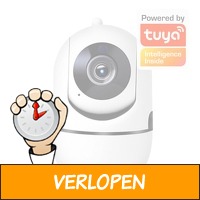 Indoor WiFi camera