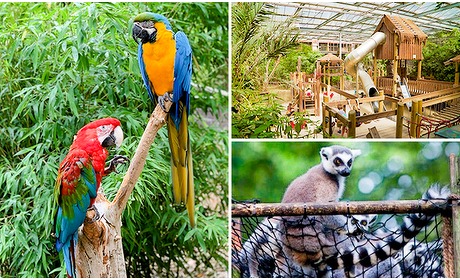 Social Deal: Dagentree Papegaaienpark Zoo Veldhoven
