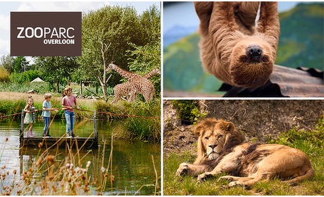 Social Deal: Entree ZooParc Overloon